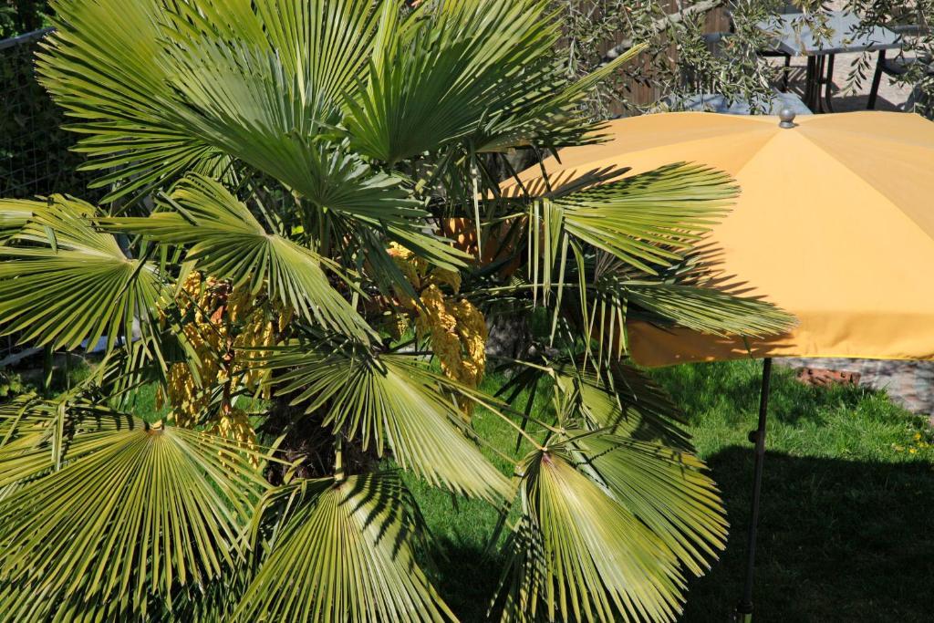 Hotel Jardis (Adults Only) Lana Εξωτερικό φωτογραφία